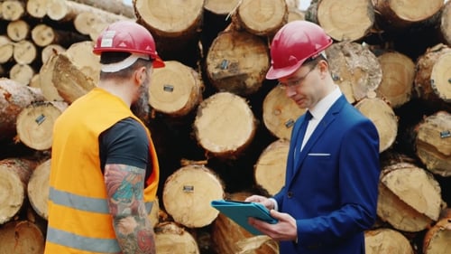 In Zusammenarbeit mit dem Ingenieur Inspizieren Sie das Lager Stroitelnoo Forest