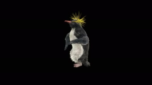 Realistic 3D Penguin Walking Animation Loop