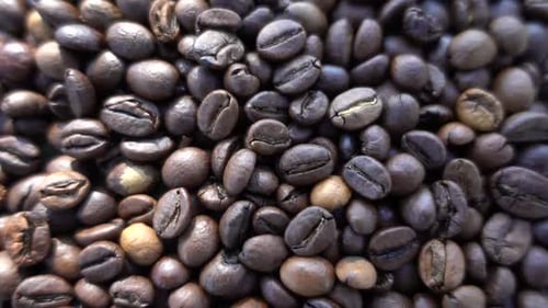 Roasted Coffee Beans in a Close Up Shot
