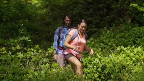 Couple hiking through forest