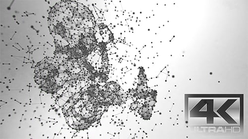 Plexus Human Fetus Silhouette Ver.2