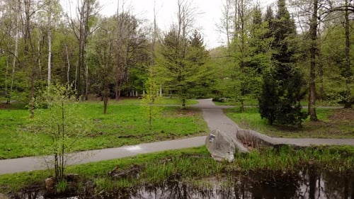 Park alley in early spring