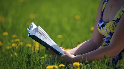 Woman Reads a Book in a Summer Meadow