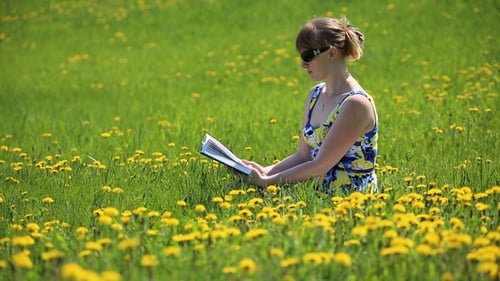 Woman Reading in Field of Dandelions on Sunny Day