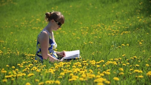 Woman Reads Book in Sunny Dandelion Field