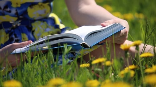 Woman Reads Book in Dandelion Field on Sunny Day