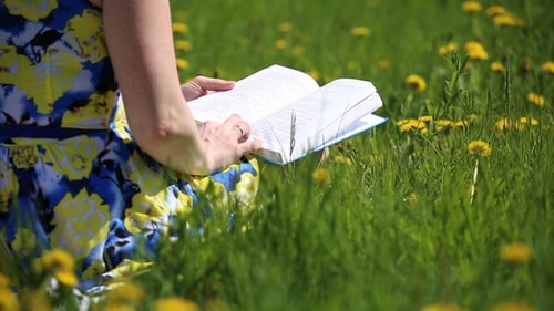 Woman Reads Book in Spring Meadow