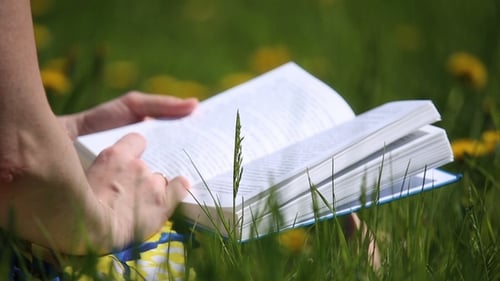 Woman Reading a Book in a Dandelion Field