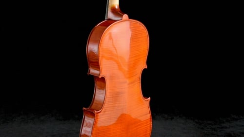 Viola-Korpus hinten, kreiselnd