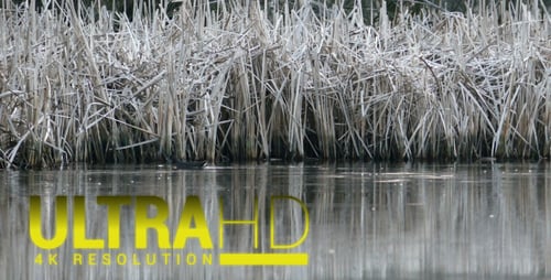 Grey Lake 8