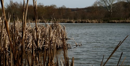 Grey Lake 10