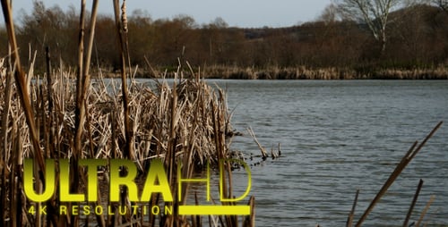 Grey Lake 10