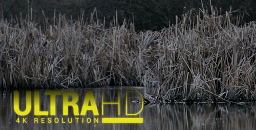 Grey Lake 11