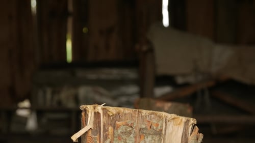 Silver Ax Stuck in Wooden Stump Close Up