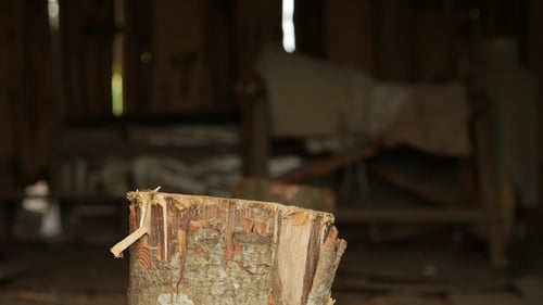 Axe In a Stump
