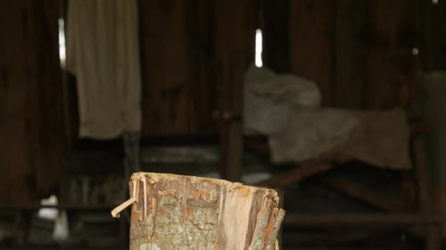 Old And Rusty Axe In a Stump
