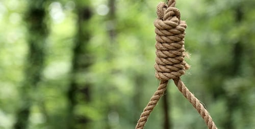 Hanging Noose
