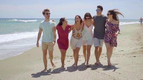 Happy Group Of Young Students Walking On a Beach
