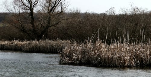 Grey Lake 13