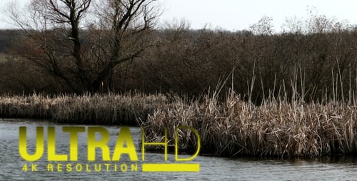 Grey Lake 13