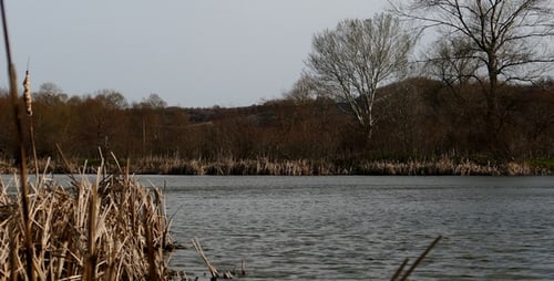 Grauer See 14