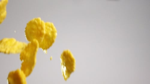 Cornflakes Fly On White Background