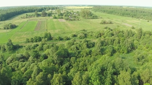 Aerial View of Farmland and Lush Forest
