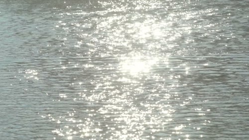 Shimmering Water Sparkling in the Sunlight