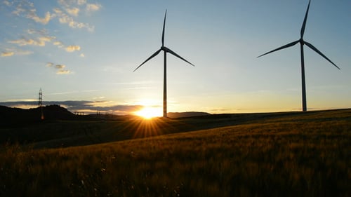 Wind Turbines Silhouetted Against Sunrise in Rural Field