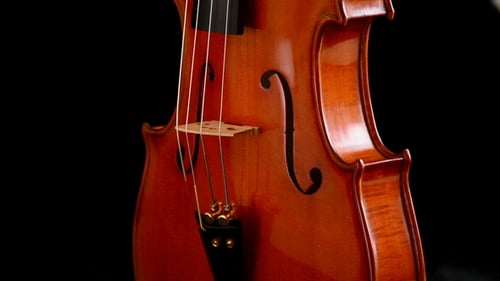 Viola Instrument Gyrating auf schwarzem Hintergrund