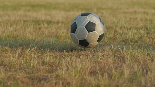 Ball In Grass Field