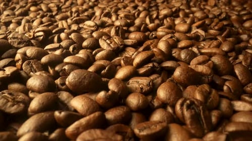 Freshly Roasted Brown Coffee Beans Close Up
