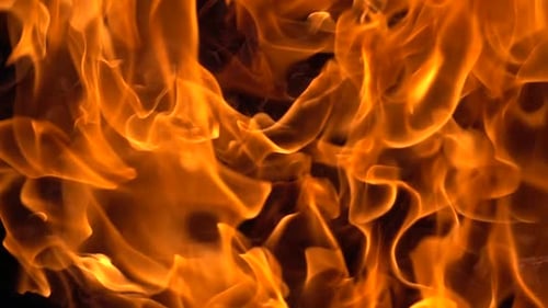 Bright Orange Flames Flickering in a Fire, Close Up