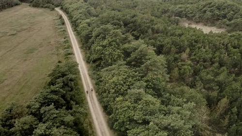 Aerial View of Runners on Rural Forest Road
