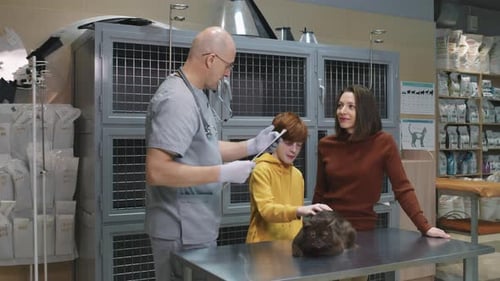 Family at the Vet with their Brown Cat