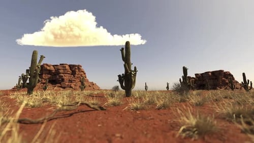 Desert Cacti and Tumbleweed