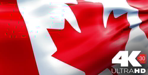Realistic Waving Canadian Flag Animation Seamless Loop
