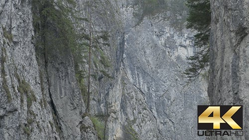 Steep Rocks and Trees