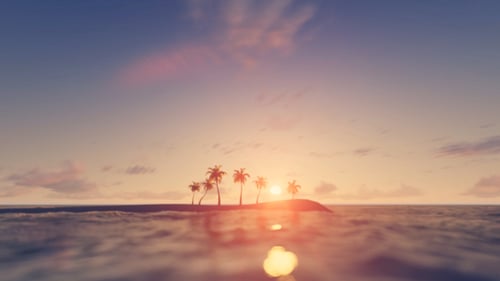 Palms - Weicher verschwommener