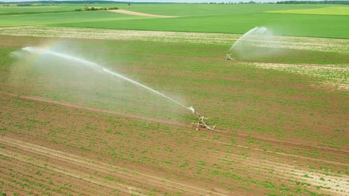 Aerial Footage of Automatic Irrigation Sprinkle Watering System in the Agriculture Field