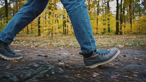 Side View of Male Legs Walking on Footpath at Autumn Forest Following Shot