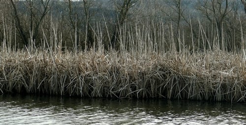 Grey Lake 16