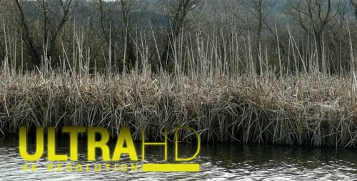 Grey Lake 16