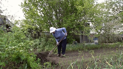Woman Digging Shovel in the Garden
