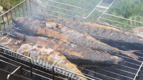 Grilled Fish On The Grill