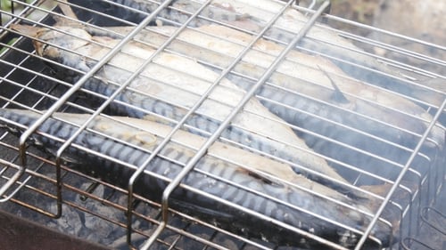 Grilled Fish On The Grill