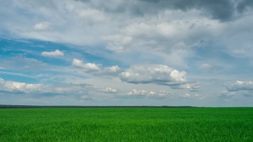Green Field And Cloudy Sky Beautiful Clouds Floating Over Green Bright Sky Beautiful Landscape