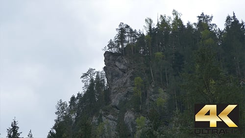 Bergklippen und Tannen