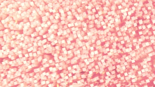 Blumen Pink Cube Stream