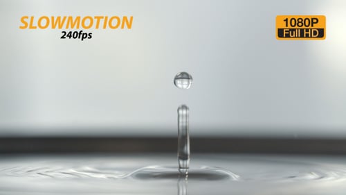 Water Drop Impact Creating Splash and Ripples